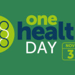 The international One Health Day banner.